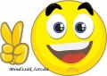 Dolgozol, de kevés a kereseted? , mindzsaki@gmail.com , 