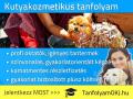 Kutyakozmetikus tanfolyam nappali, esti és hétvégi időpontokkal , tanfolyamokj@gmail.com , 