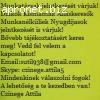 Jövedelem Kiegészítés , sutil938@gmail.com , 