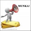 KIEGÉSZÍTŐ Munkalehetőség , gyimesi.s.denes@gmail.com , 